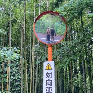 Meet your Posher, Charlee